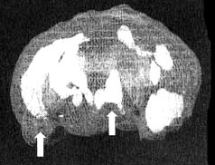 Иллюстрация к книге — Измените свой мозг - изменится и жизнь! [i_083.jpg]