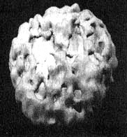 Иллюстрация к книге — Измените свой мозг - изменится и жизнь! [i_086.jpg]