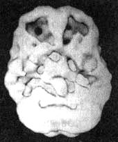Иллюстрация к книге — Измените свой мозг - изменится и жизнь! [i_089.jpg]