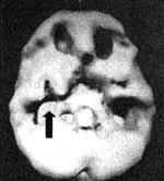 Иллюстрация к книге — Измените свой мозг - изменится и жизнь! [i_097.jpg]