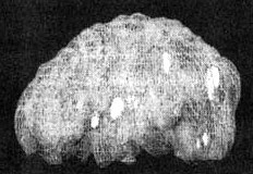 Иллюстрация к книге — Измените свой мозг - изменится и жизнь! [i_105.jpg]