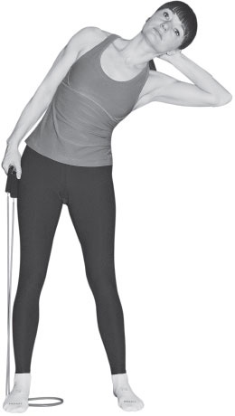 Иллюстрация к книге — 3 лучшие системы от боли в спине [i_159.jpg]