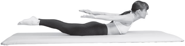 Иллюстрация к книге — 3 лучшие системы от боли в спине [i_176.jpg]