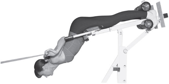 Иллюстрация к книге — 3 лучшие системы от боли в спине [i_254.jpg]