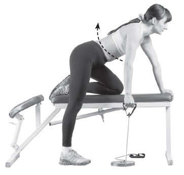 Иллюстрация к книге — Ваш здоровый позвоночник [i_015.jpg]