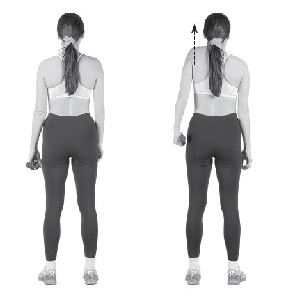 Иллюстрация к книге — Ваш здоровый позвоночник [i_017.jpg]