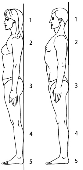 Иллюстрация к книге — Жизнь без боли в пояснице [i_006.jpg]
