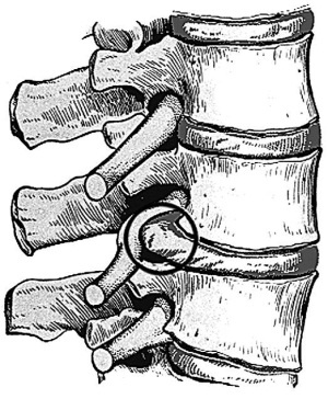 Иллюстрация к книге — Жизнь без боли в шее [i_008.jpg]