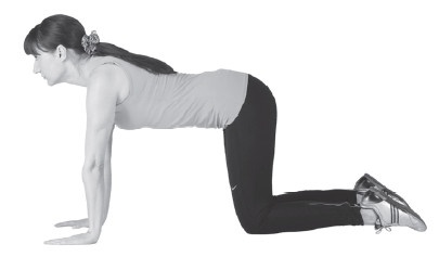 Иллюстрация к книге — Здоровые ноги до 100 лет [Autogen_eBook_id100.jpg]