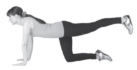 Иллюстрация к книге — Здоровые ноги до 100 лет [Autogen_eBook_id101.jpg]