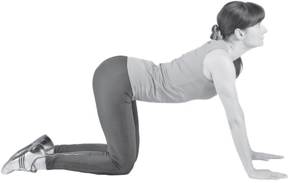 Иллюстрация к книге — Здоровые ноги до 100 лет [Autogen_eBook_id41.jpg]