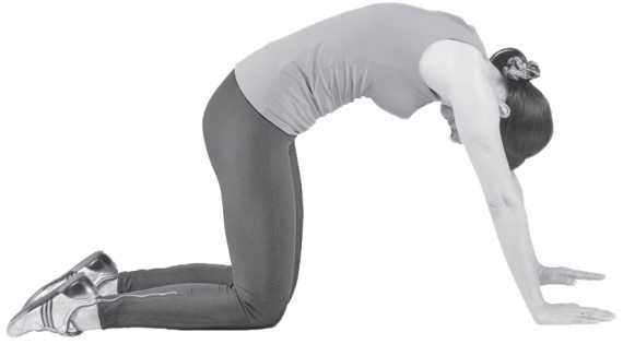 Иллюстрация к книге — Здоровые ноги до 100 лет [Autogen_eBook_id42.jpg]