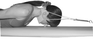 Иллюстрация к книге — Лечим спину от остеохондроза [i_013.jpg]