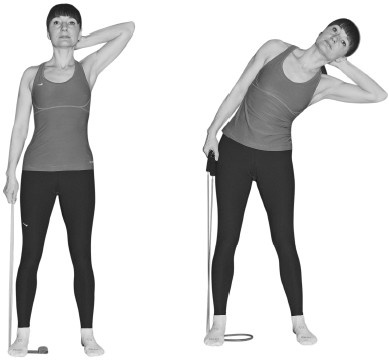 Иллюстрация к книге — Лечим спину от остеохондроза [i_041.jpg]