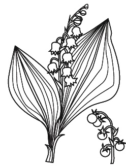 Иллюстрация к книге — Острые отравления у детей [Autogen_eBook_id43.jpg]