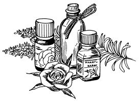 Иллюстрация к книге — 30+. Уход за лицом. Идеальный возраст [i_010.jpg]