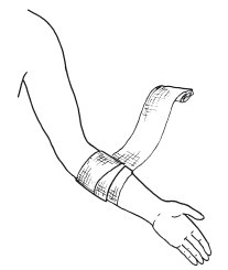 Иллюстрация к книге — Справочник медсестры [i_005.jpg]