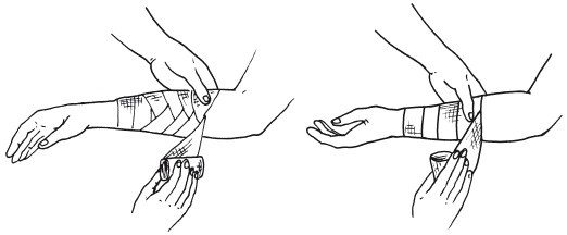 Иллюстрация к книге — Справочник медсестры [i_007.jpg]