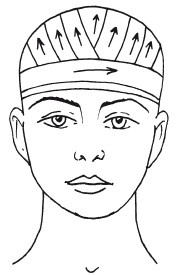 Иллюстрация к книге — Справочник медсестры [i_014.jpg]