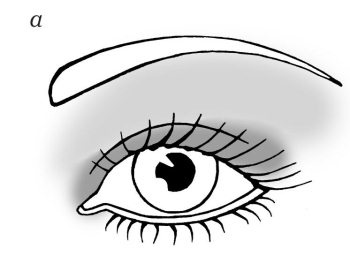 Иллюстрация к книге — 40+. Уход за лицом [Autogen_eBook_id103.jpg]