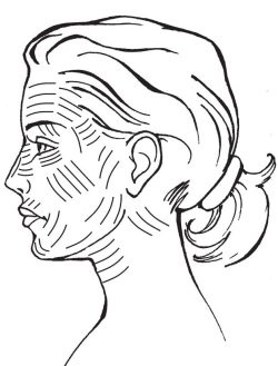 Иллюстрация к книге — 40+. Уход за лицом [Autogen_eBook_id12.jpg]