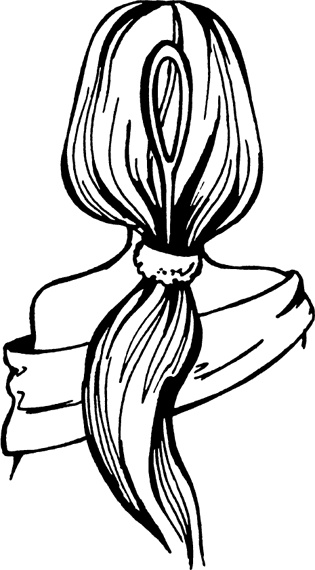 Иллюстрация к книге — Косы и косички. Мастер-класс профессионалов [i_011.jpg]