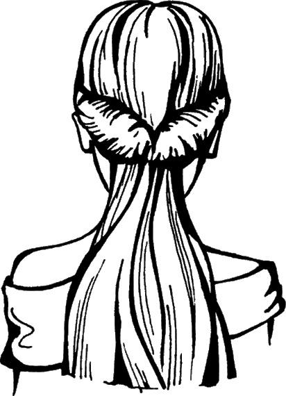 Иллюстрация к книге — Косы и косички. Мастер-класс профессионалов [i_014.jpg]