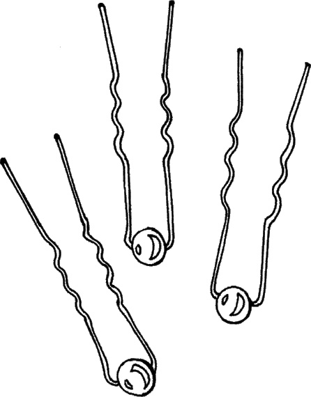 Иллюстрация к книге — Косы и косички. Мастер-класс профессионалов [i_015.jpg]