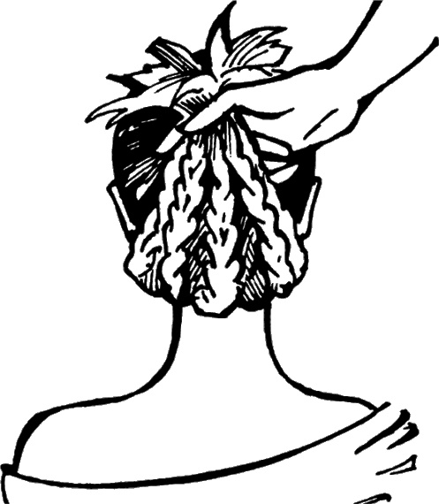 Иллюстрация к книге — Косы и косички. Мастер-класс профессионалов [i_036.jpg]