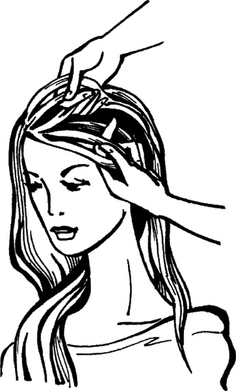 Иллюстрация к книге — Косы и косички. Мастер-класс профессионалов [i_063.jpg]