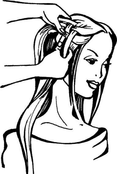 Иллюстрация к книге — Косы и косички. Мастер-класс профессионалов [i_067.jpg]