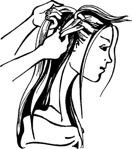 Иллюстрация к книге — Косы и косички. Мастер-класс профессионалов [i_068.jpg]