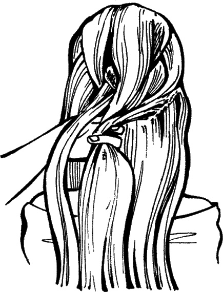 Иллюстрация к книге — Косы и косички. Мастер-класс профессионалов [i_073.jpg]