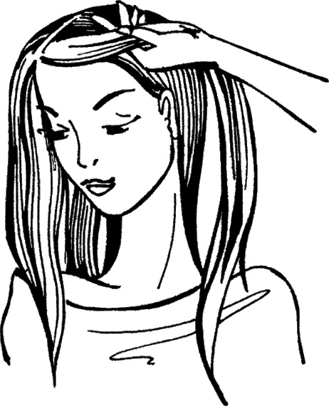 Иллюстрация к книге — Косы и косички. Мастер-класс профессионалов [i_079.jpg]