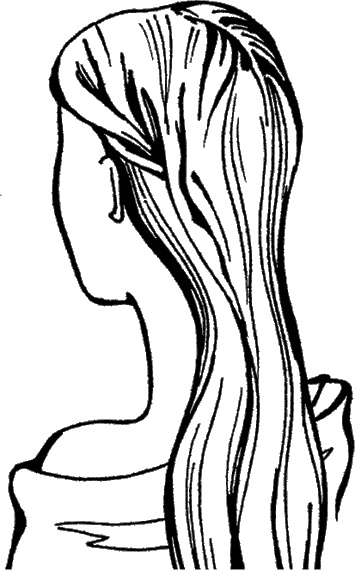 Иллюстрация к книге — Косы и косички. Мастер-класс профессионалов [i_080.jpg]