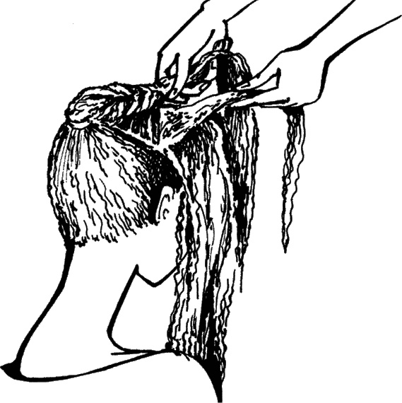 Иллюстрация к книге — Косы и косички. Мастер-класс профессионалов [i_087.jpg]