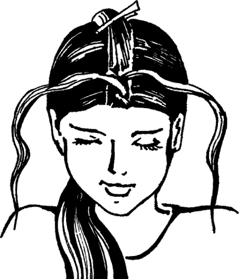 Иллюстрация к книге — Косы и косички. Мастер-класс профессионалов [i_096.jpg]