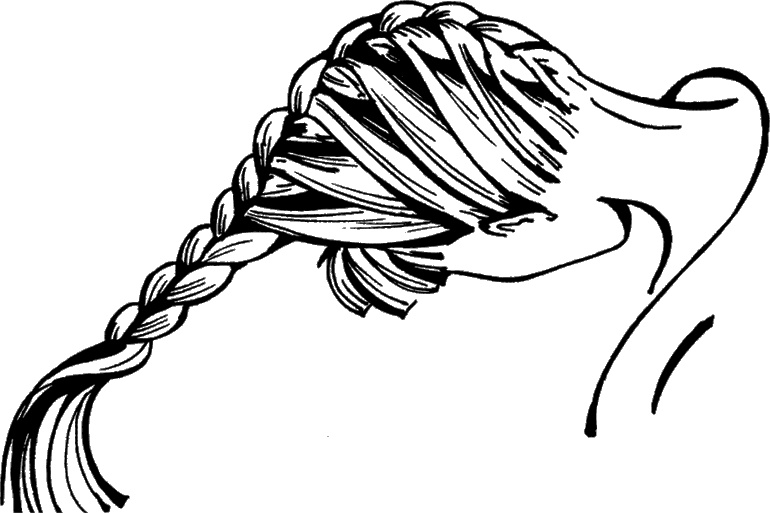 Иллюстрация к книге — Косы и косички. Мастер-класс профессионалов [i_106.jpg]