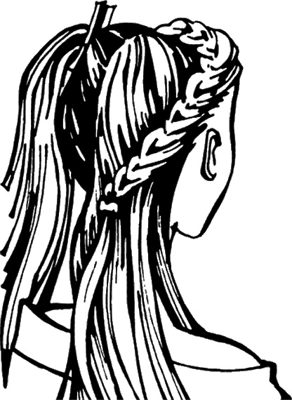 Иллюстрация к книге — Косы и косички. Мастер-класс профессионалов [i_116.jpg]