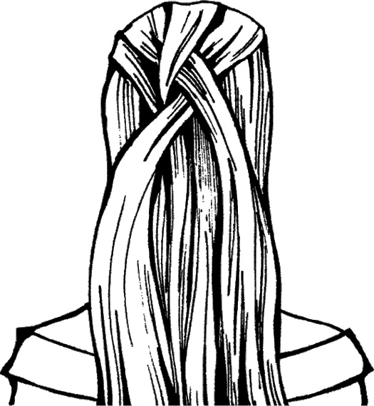 Иллюстрация к книге — Косы и косички. Мастер-класс профессионалов [i_120.jpg]