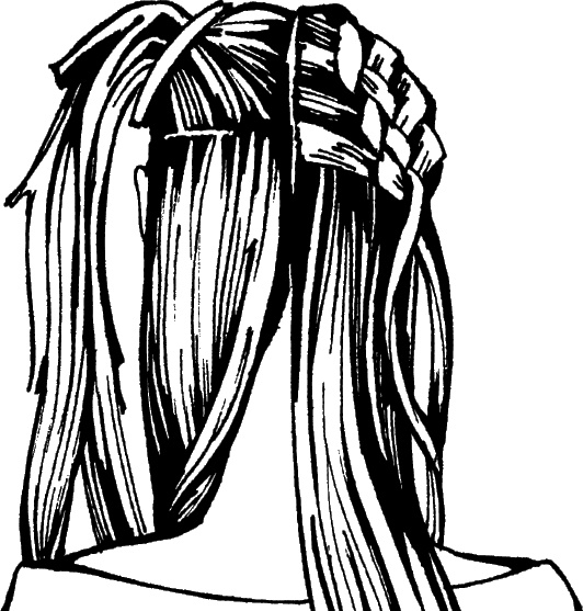 Иллюстрация к книге — Косы и косички. Мастер-класс профессионалов [i_122.jpg]