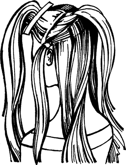 Иллюстрация к книге — Косы и косички. Мастер-класс профессионалов [i_128.jpg]