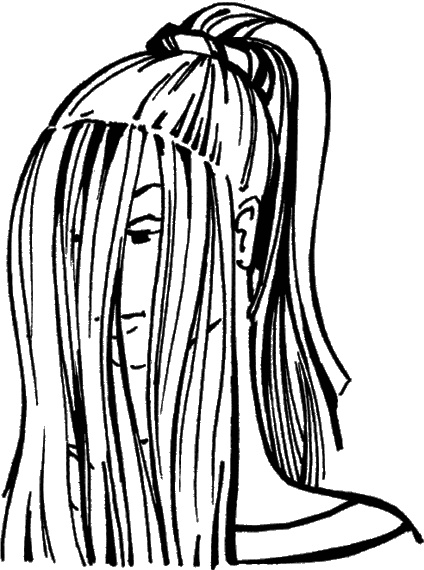 Иллюстрация к книге — Косы и косички. Мастер-класс профессионалов [i_131.jpg]