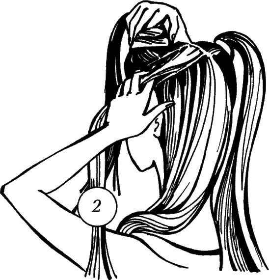 Иллюстрация к книге — Косы и косички. Мастер-класс профессионалов [i_140.jpg]