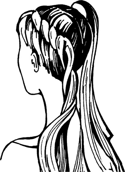 Иллюстрация к книге — Косы и косички. Мастер-класс профессионалов [i_145.jpg]