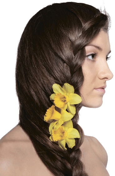 Иллюстрация к книге — Косы и косички. Мастер-класс профессионалов [i_165.jpg]