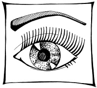 Иллюстрация к книге — Макияж. Краткая энциклопедия [i_050.jpg]