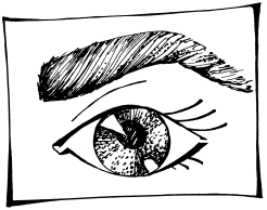 Иллюстрация к книге — Макияж. Краткая энциклопедия [i_057.jpg]