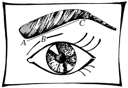 Иллюстрация к книге — Макияж. Краткая энциклопедия [i_059.jpg]