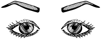 Иллюстрация к книге — Макияж. Краткая энциклопедия [i_088.jpg]